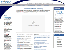 Tablet Screenshot of evisionglobal.com